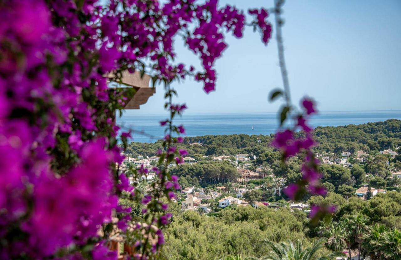 Al Vent - Managed By Almarina Villa *