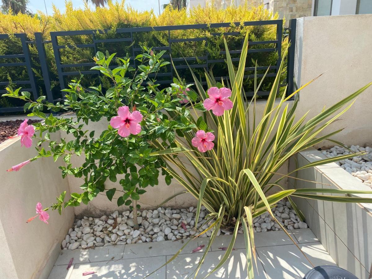 Happy Moments Villa Los Alcazares