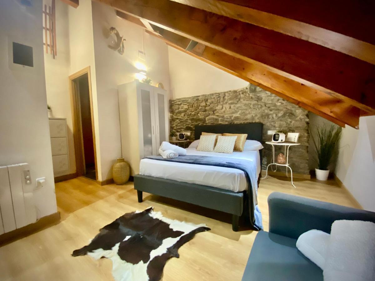 Cal Domenec - Duplex Con Encanto - Se Admiten Mascotas * Rialp