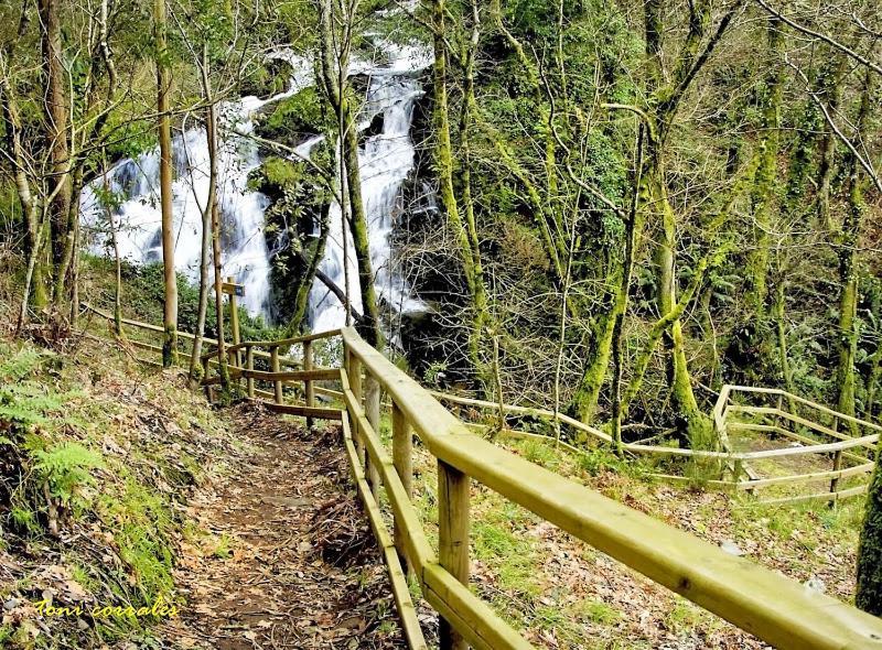 Gallaecia *