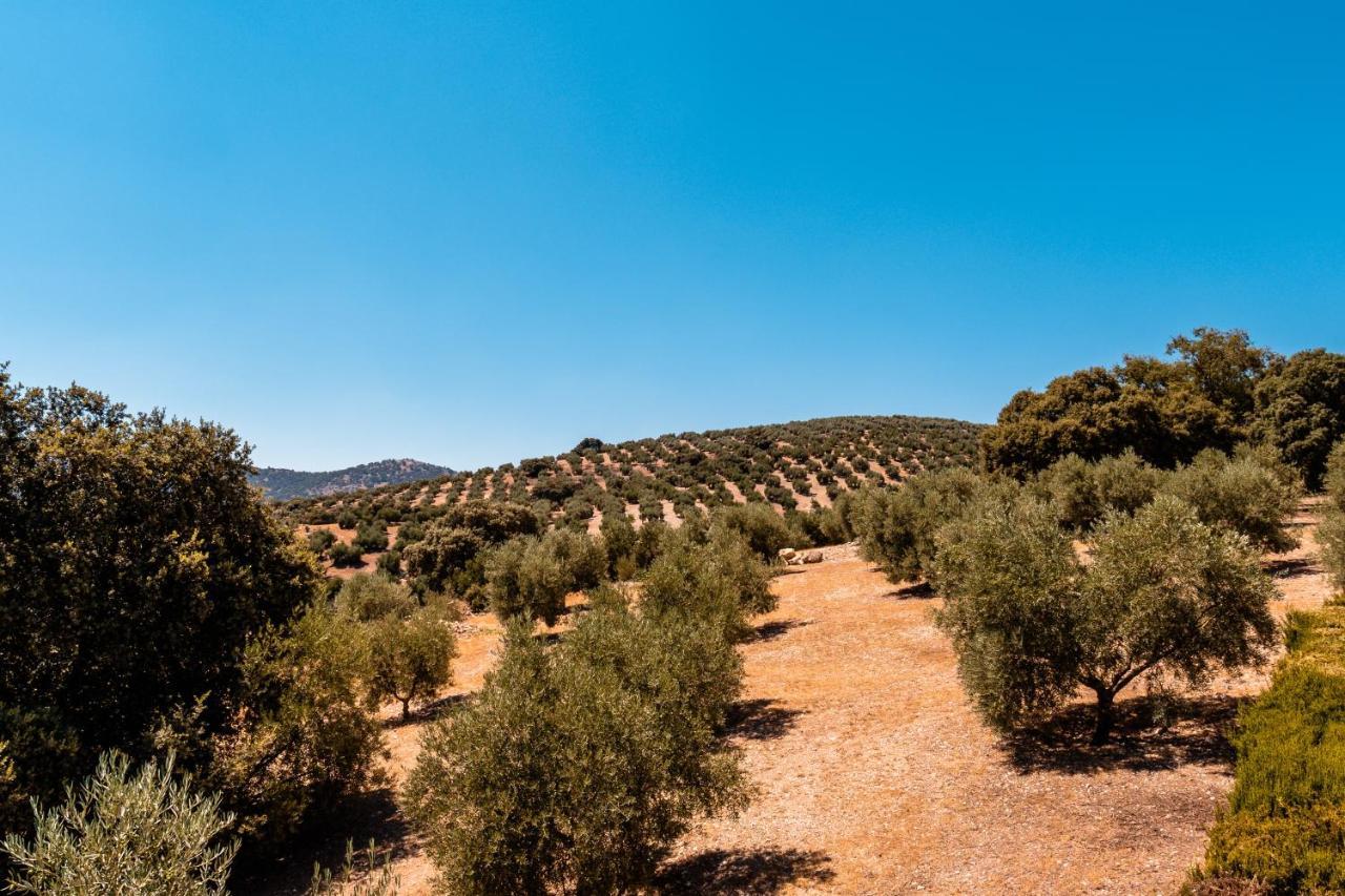 Cortijo La Presa Casa rural *