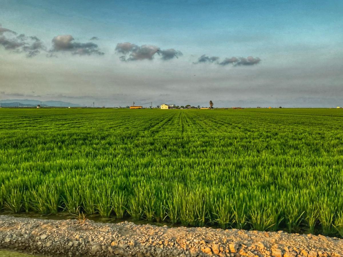 Brisa Del Delta *