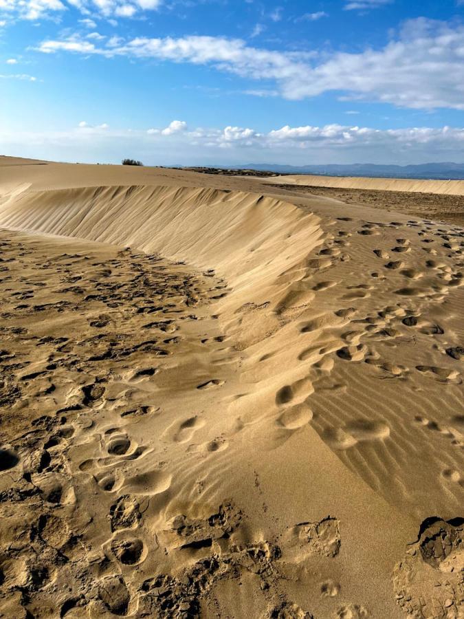 Brisa Del Delta L'Ampolla
