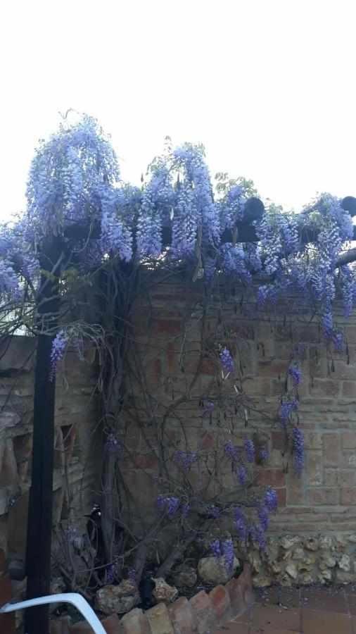 Casa Marquesa Сasa de vacaciones