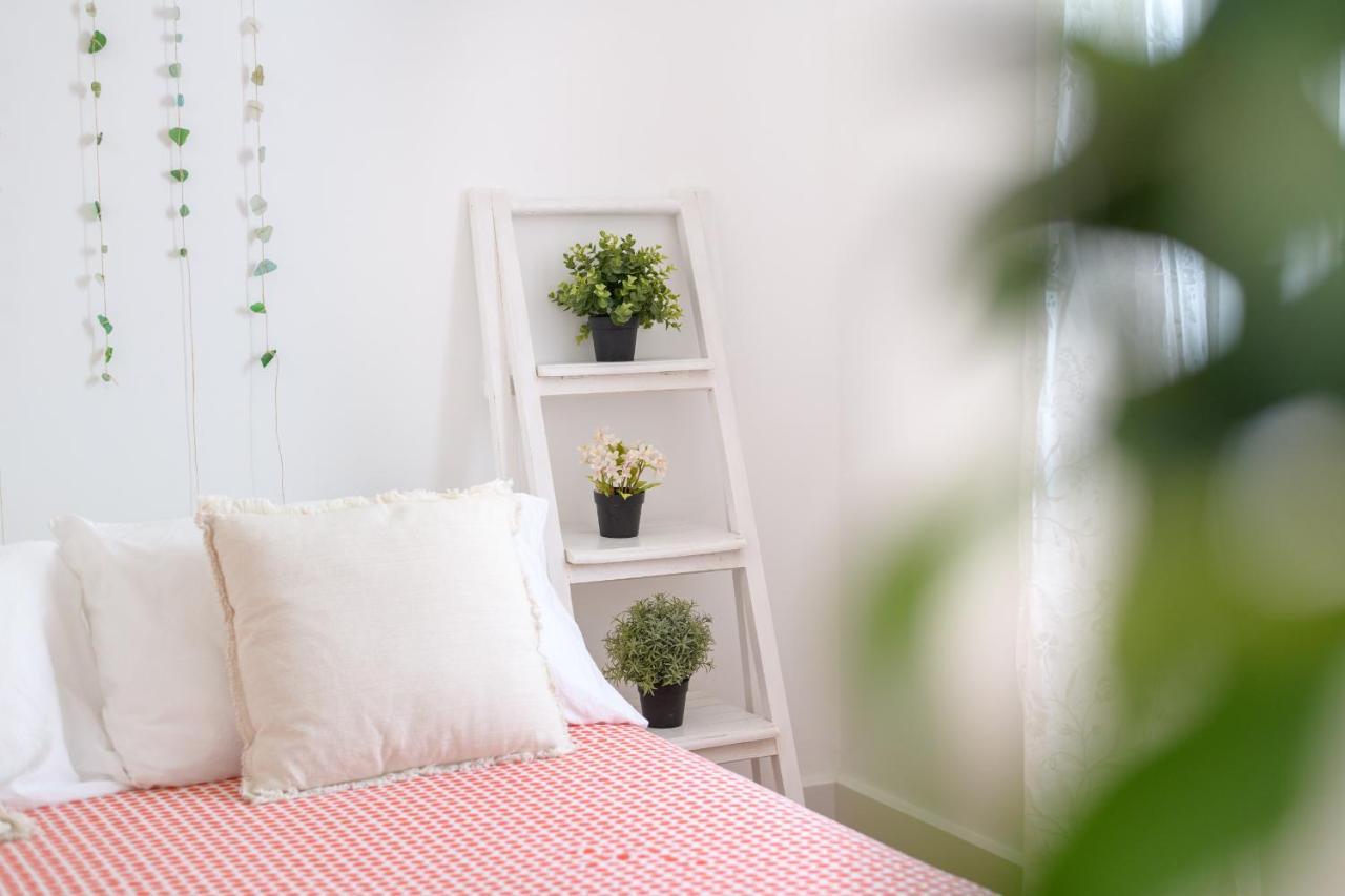 Apartamento La Casa De Pasos Punta Mujeres