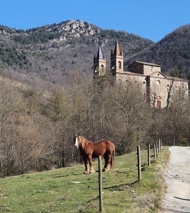 El Mussol De La Camprodon, Balconets Amb Vistes A La Placa