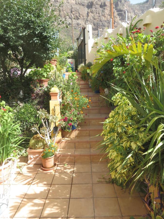 Gartenapartment Cortez *