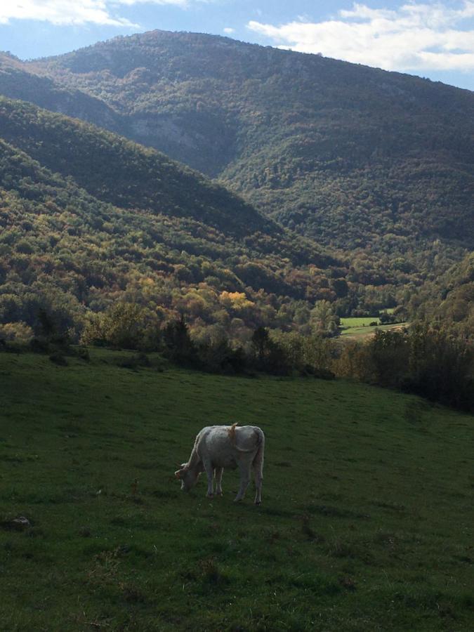 Casa rural Mas Molladar