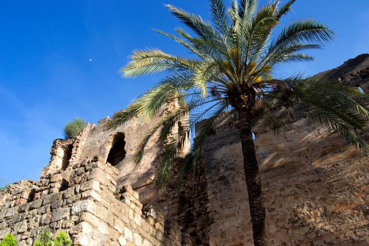 Edificio Ramiro Marbella
