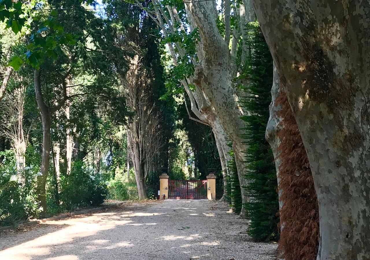 Codol De Fluvia - Casita Apartamento Torroella de Fluvià