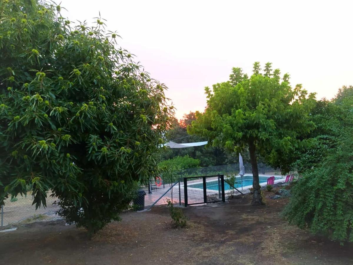 Pago De Yuste - Apartamento *
