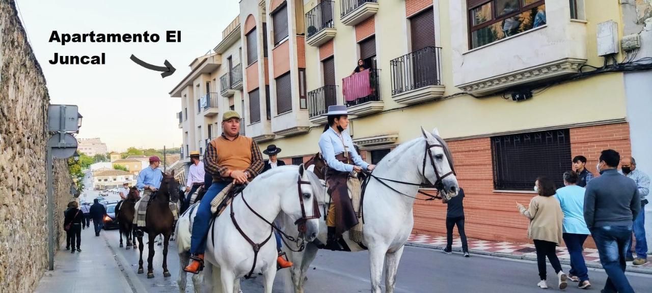 El Juncal Turistico Apartamento Cabra