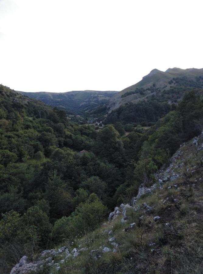 Amplia Y Cómoda Casa De Piedra Con Porche Y Jardín