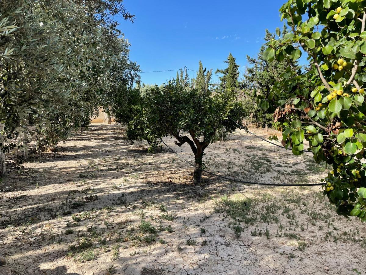 Casa rural Cortijo Cano