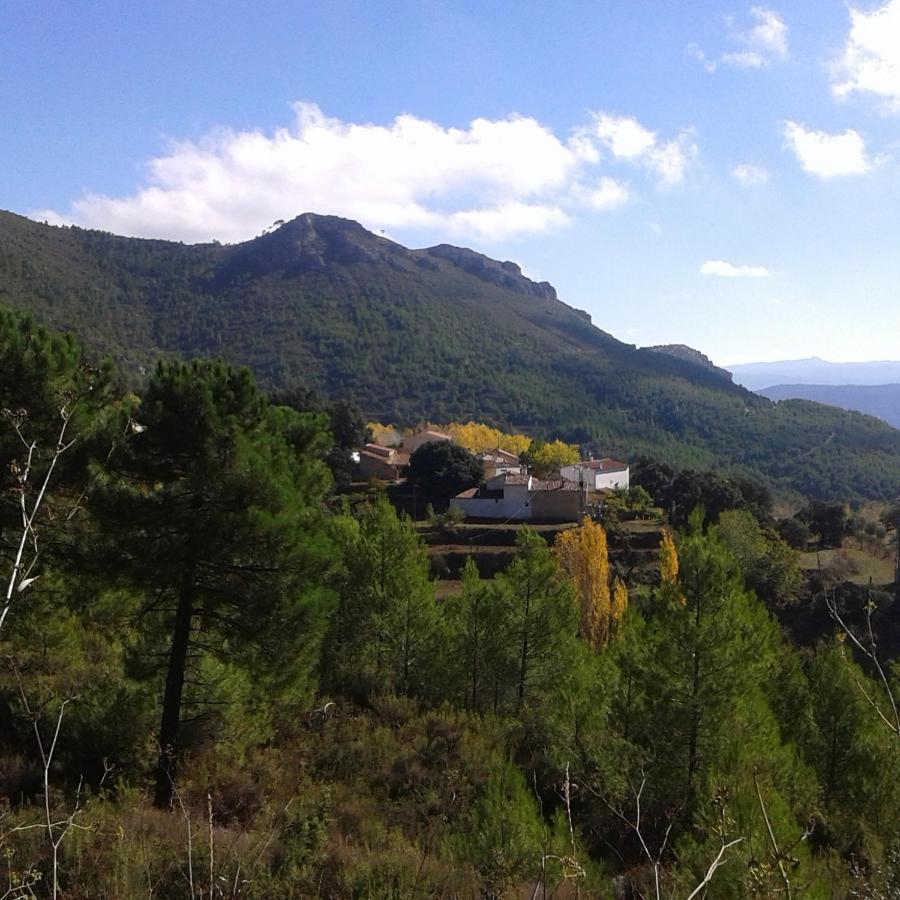 Encinas * Yeste