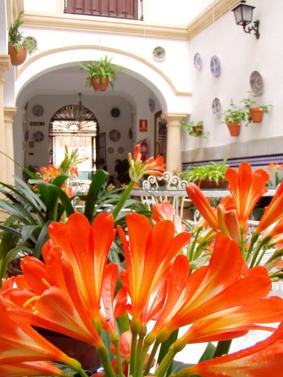 Guest house Maestre Cordoba