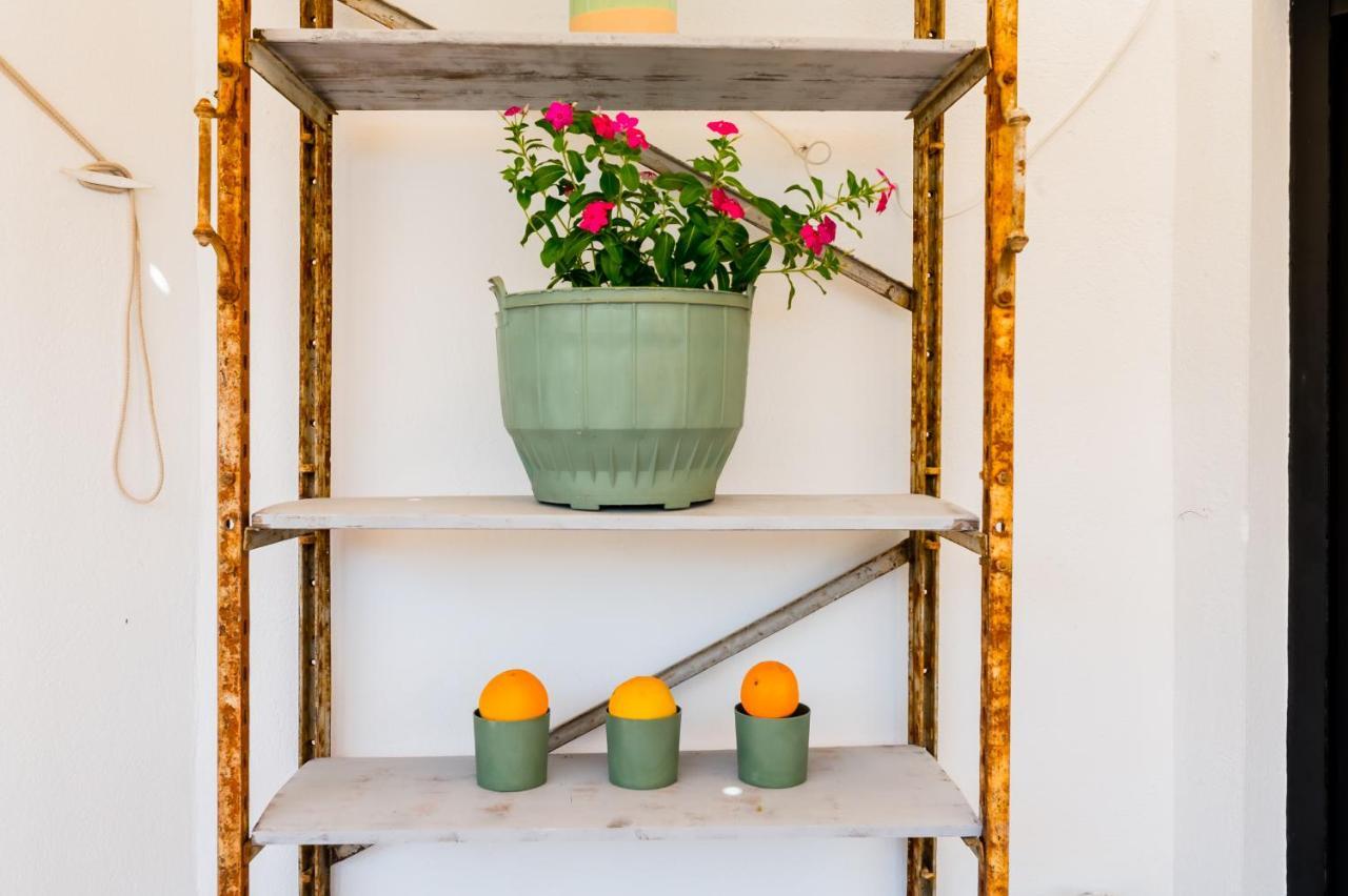Apartamento Anfitrión
