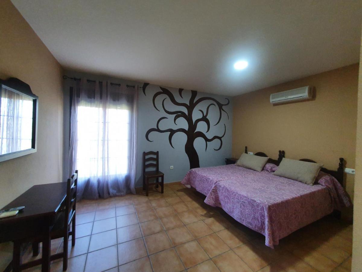 Guest house Pedregales *