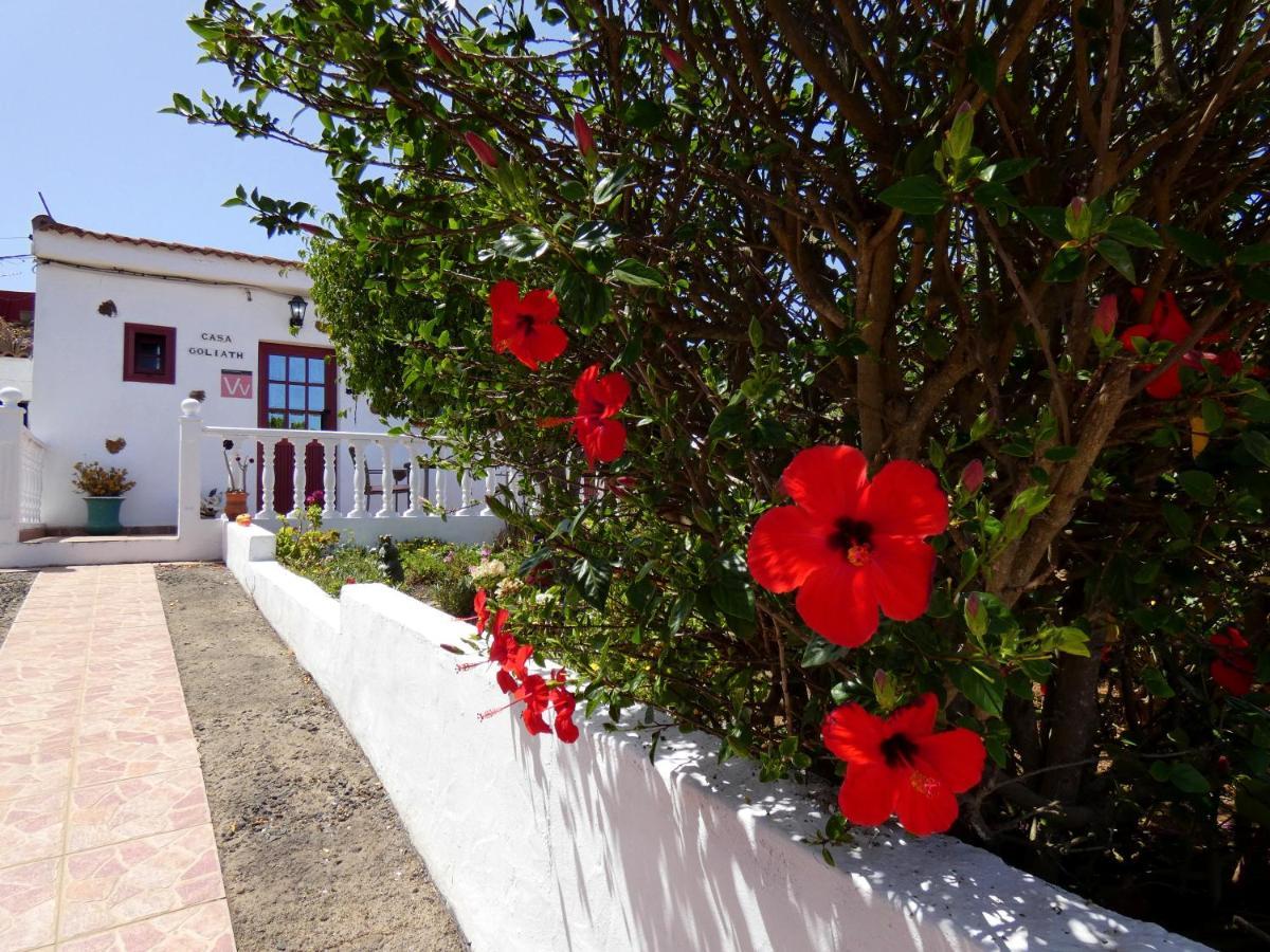 Casa Goliath *