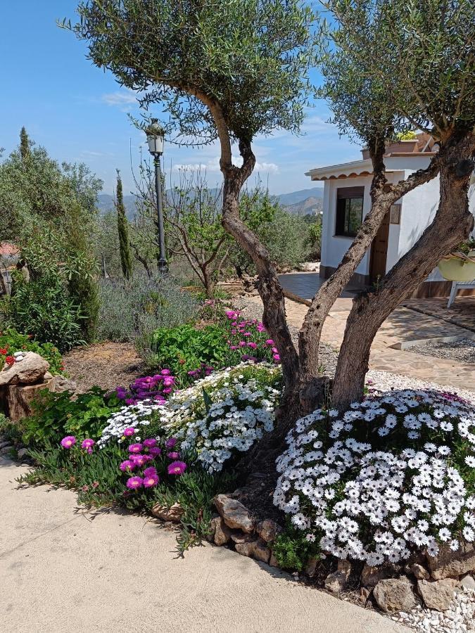 Apartamento Casa Serenity *