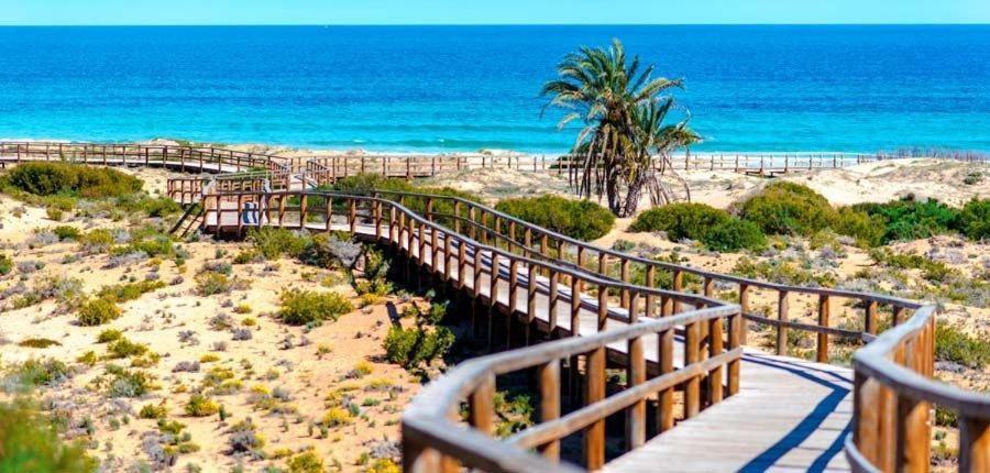Calle Canarias Apartamento *