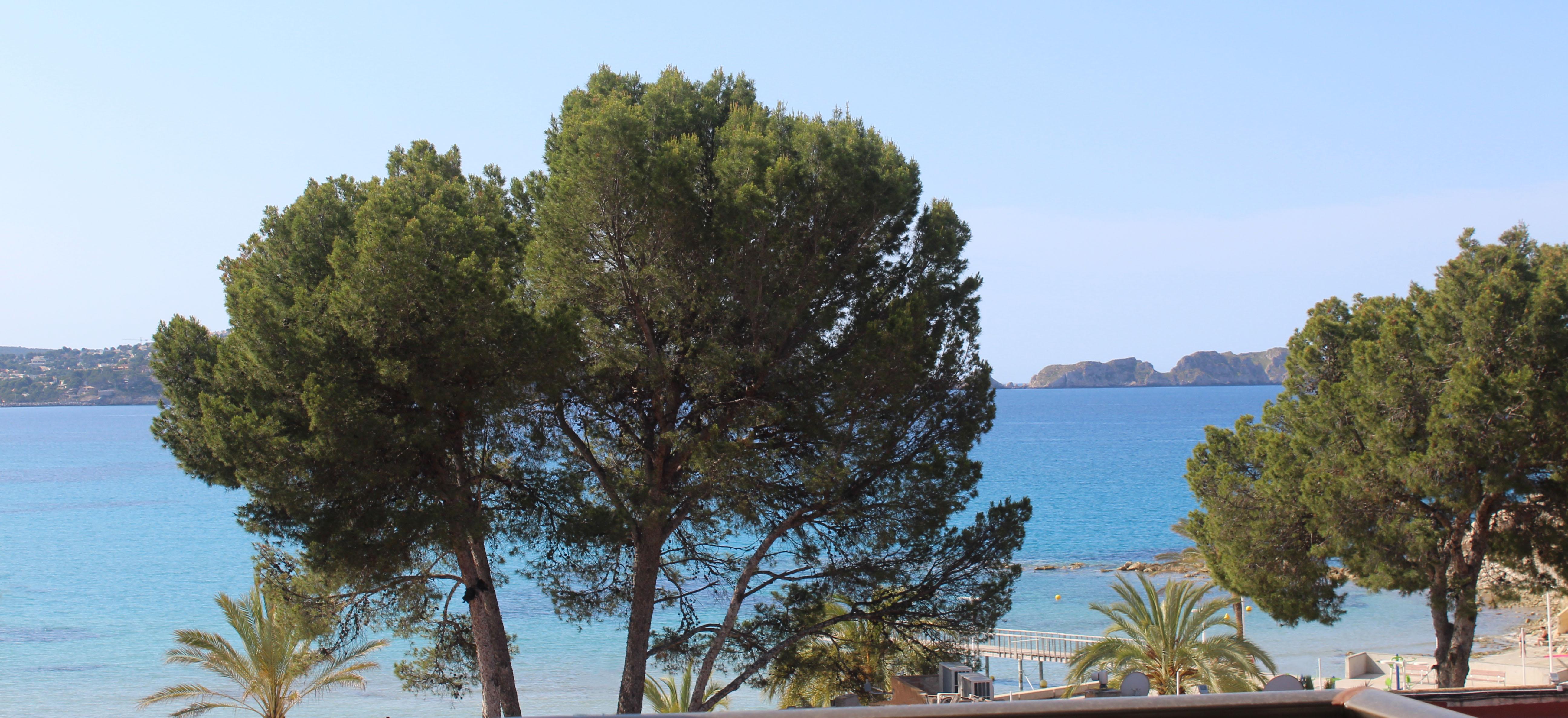 Creta Paguera 3*
