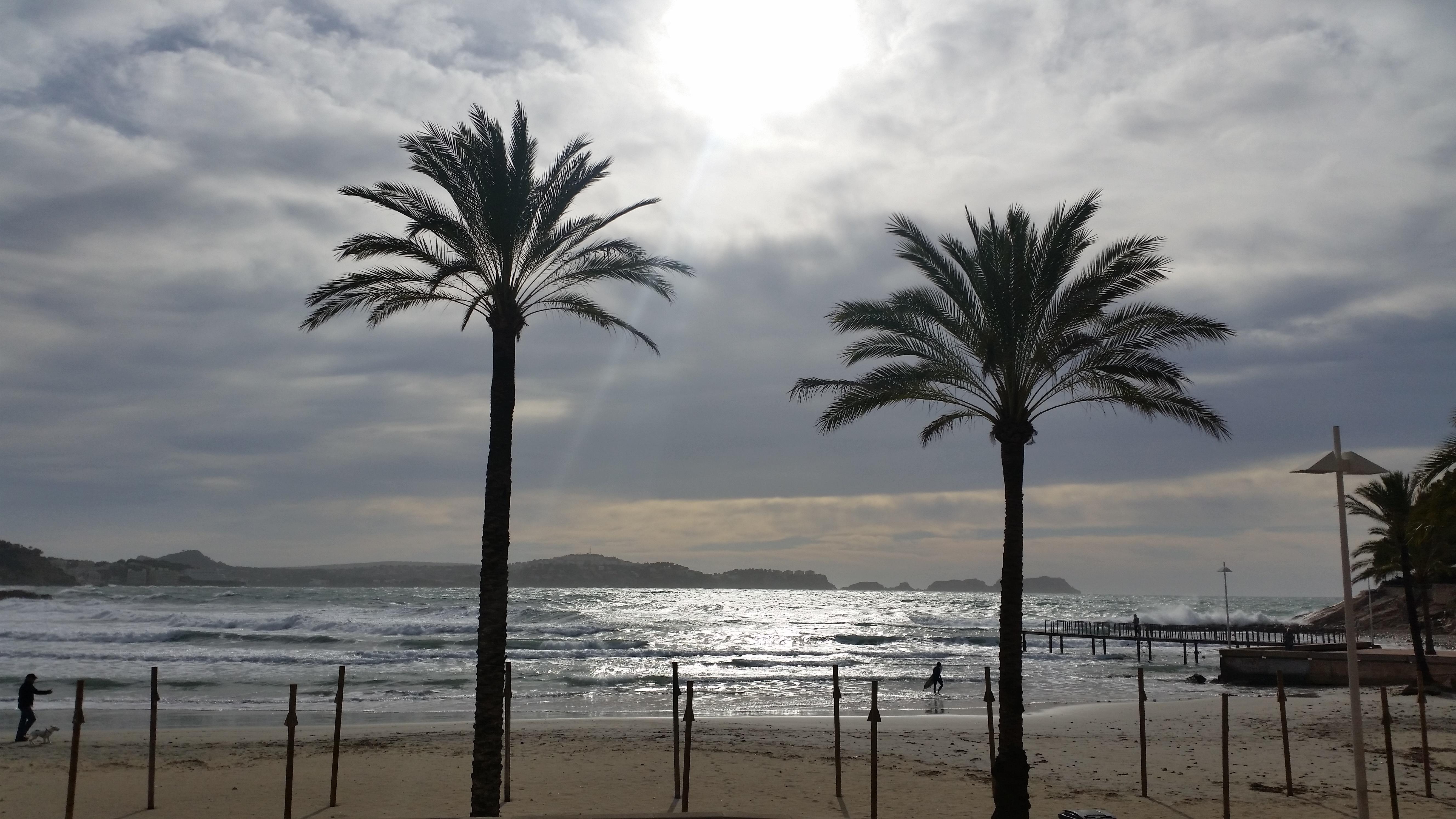 Creta Paguera 3*