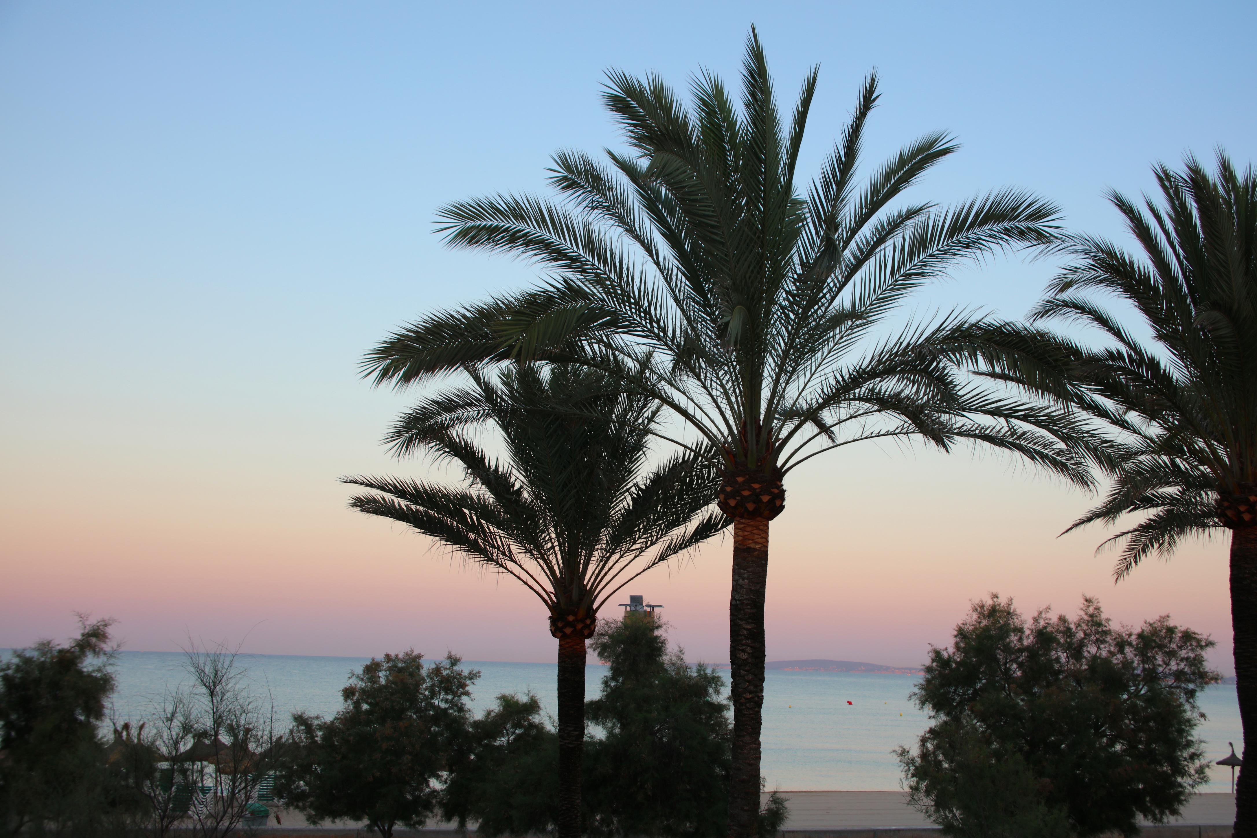Hotel Iberostar Bahía De Palma - Adults Only Playa de Palma (Mallorca)