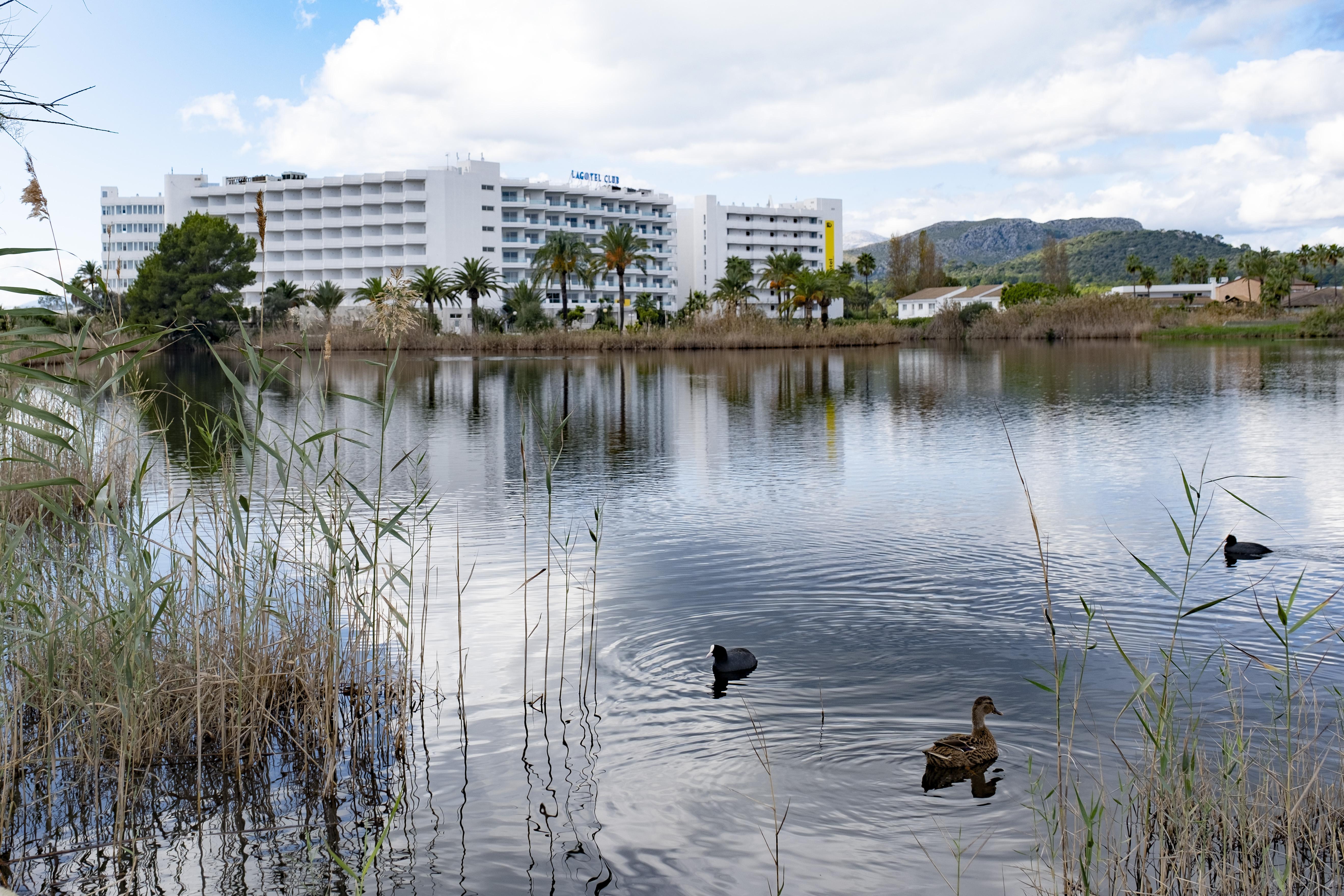 Eix Lagotel 4* Playa de Muro (Mallorca)
