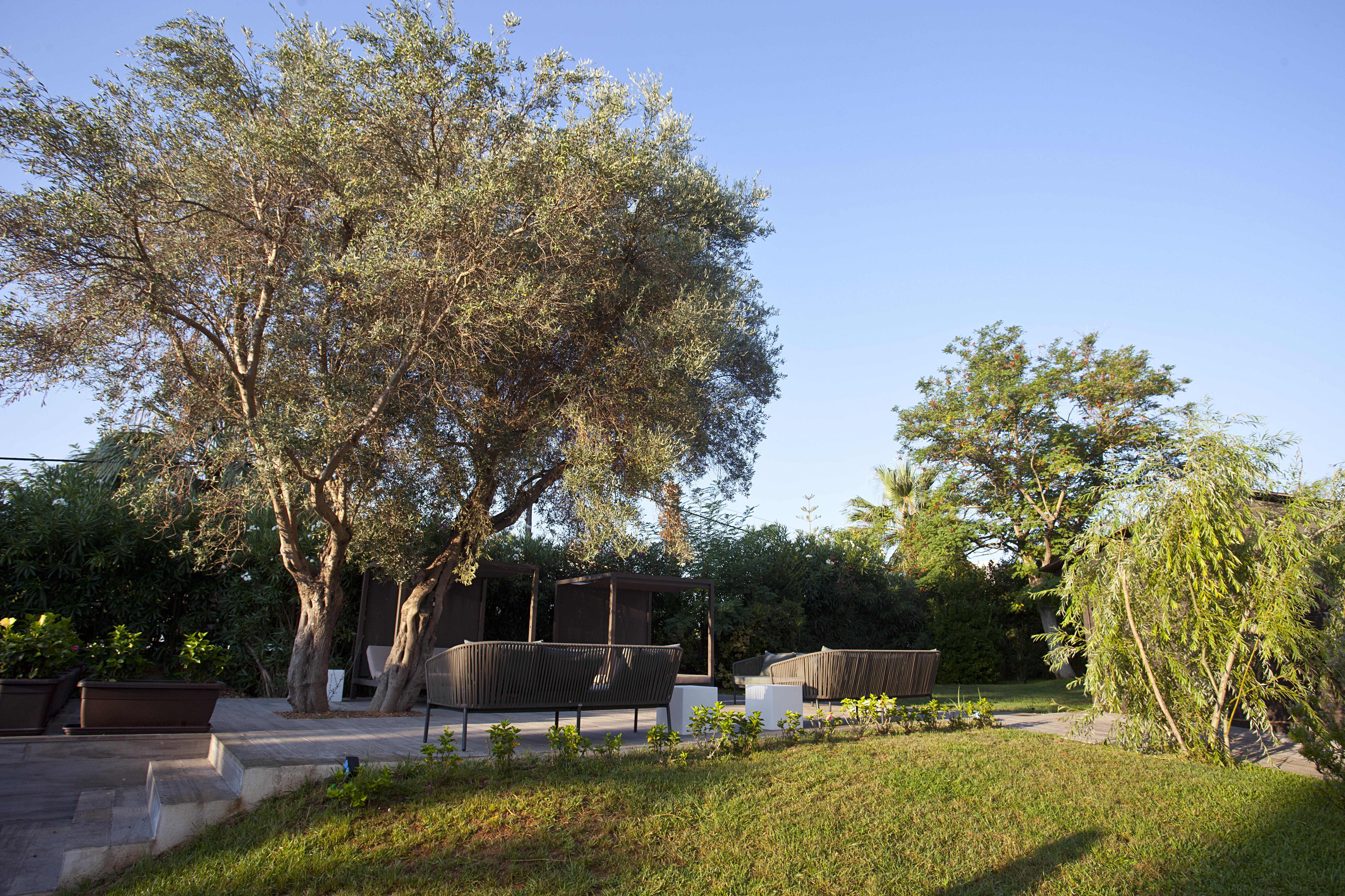 Bahia Pollensa Apartahotel