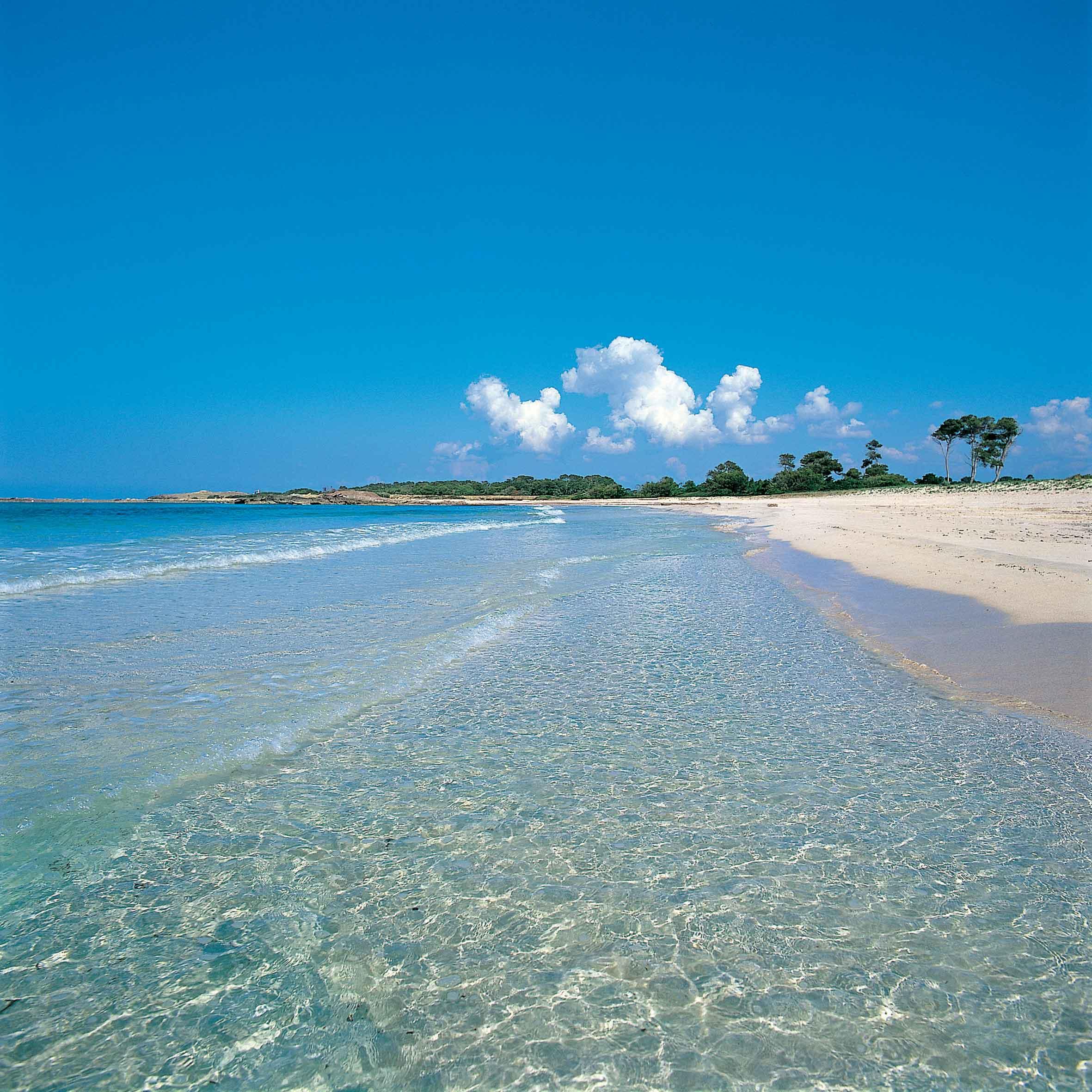 Isla De Cabrera Hotel 3*