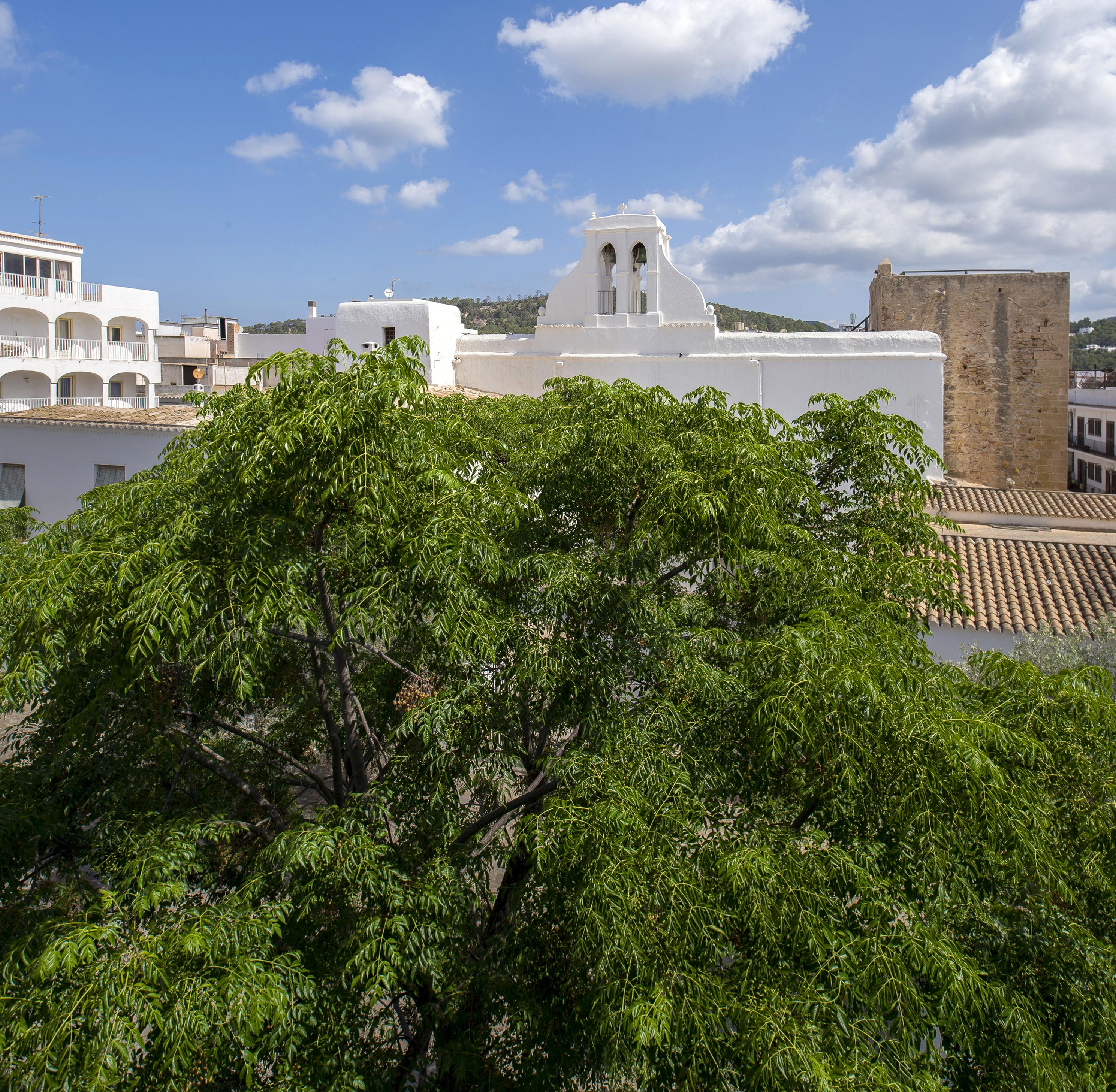 Tramuntana Apartamento San Antonio Abad