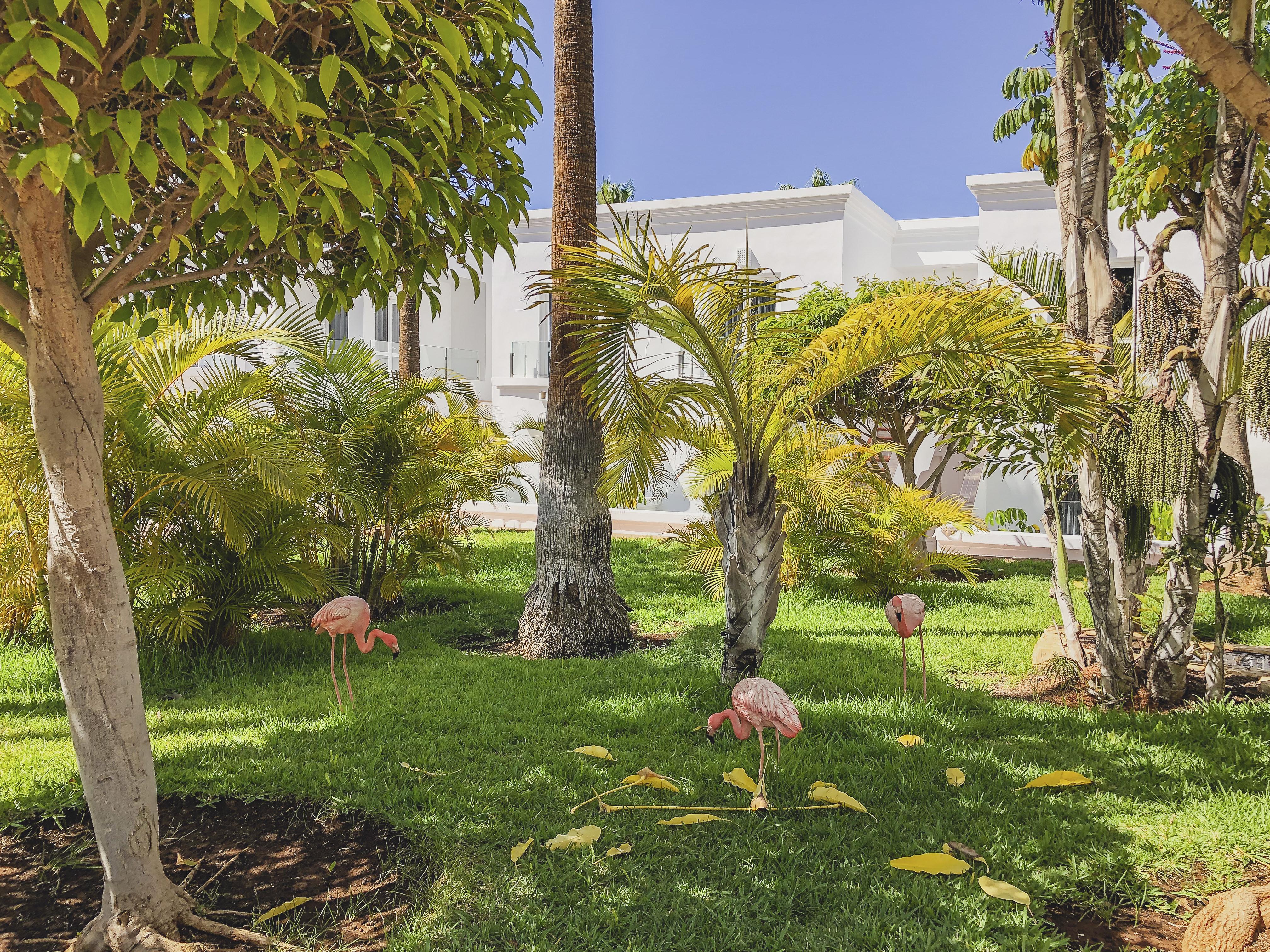 Flamingo Mate Hotel