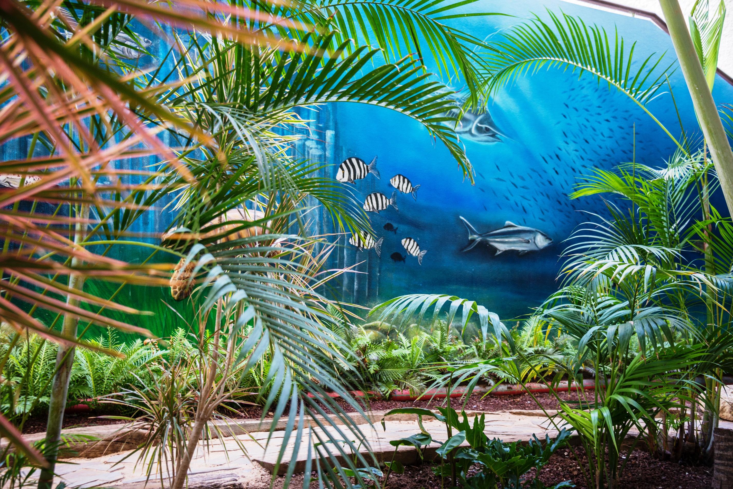 Hovima La Pinta Beachfront Family Hotel 4*