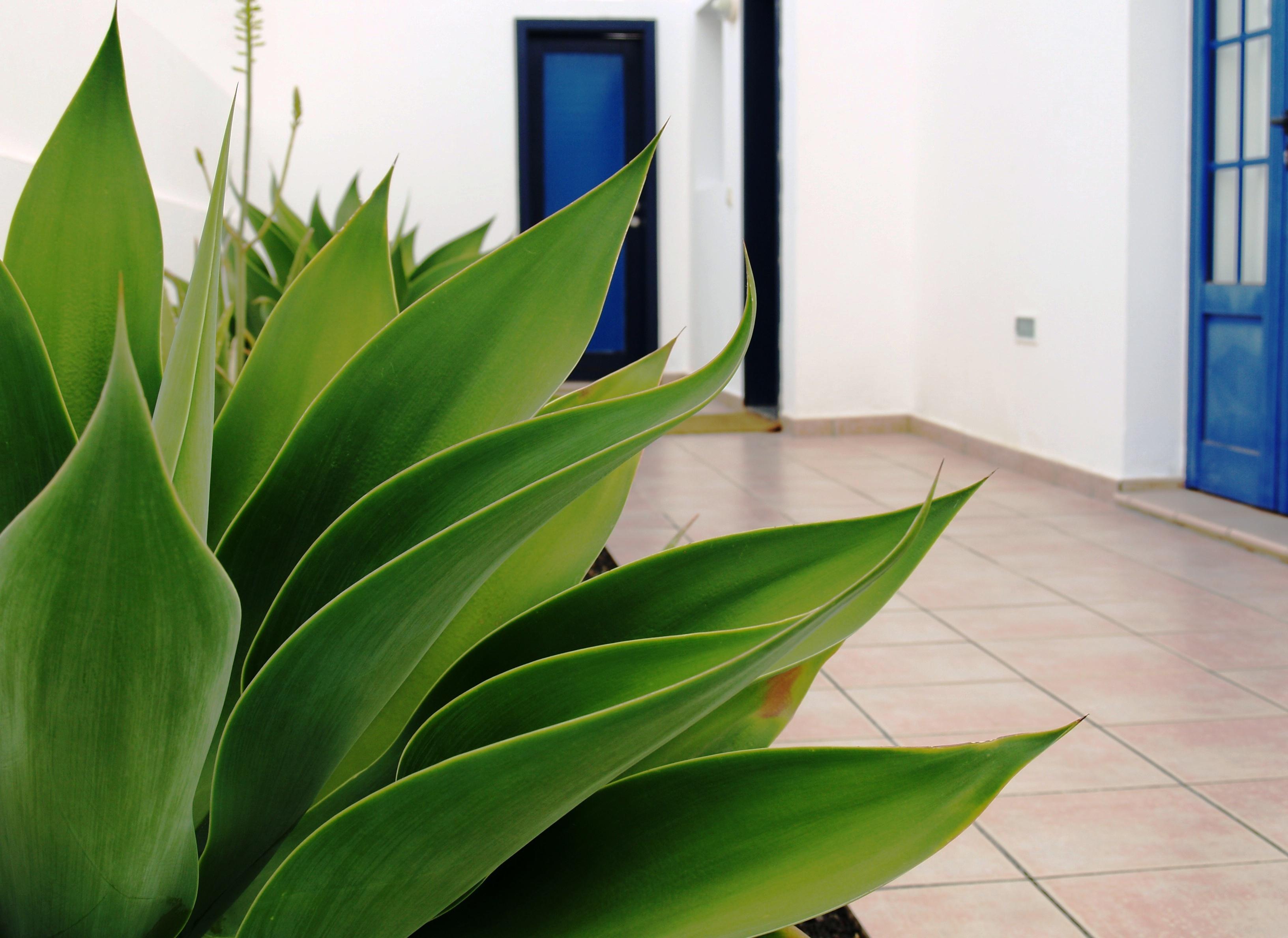 Puerto Rubicon Villa