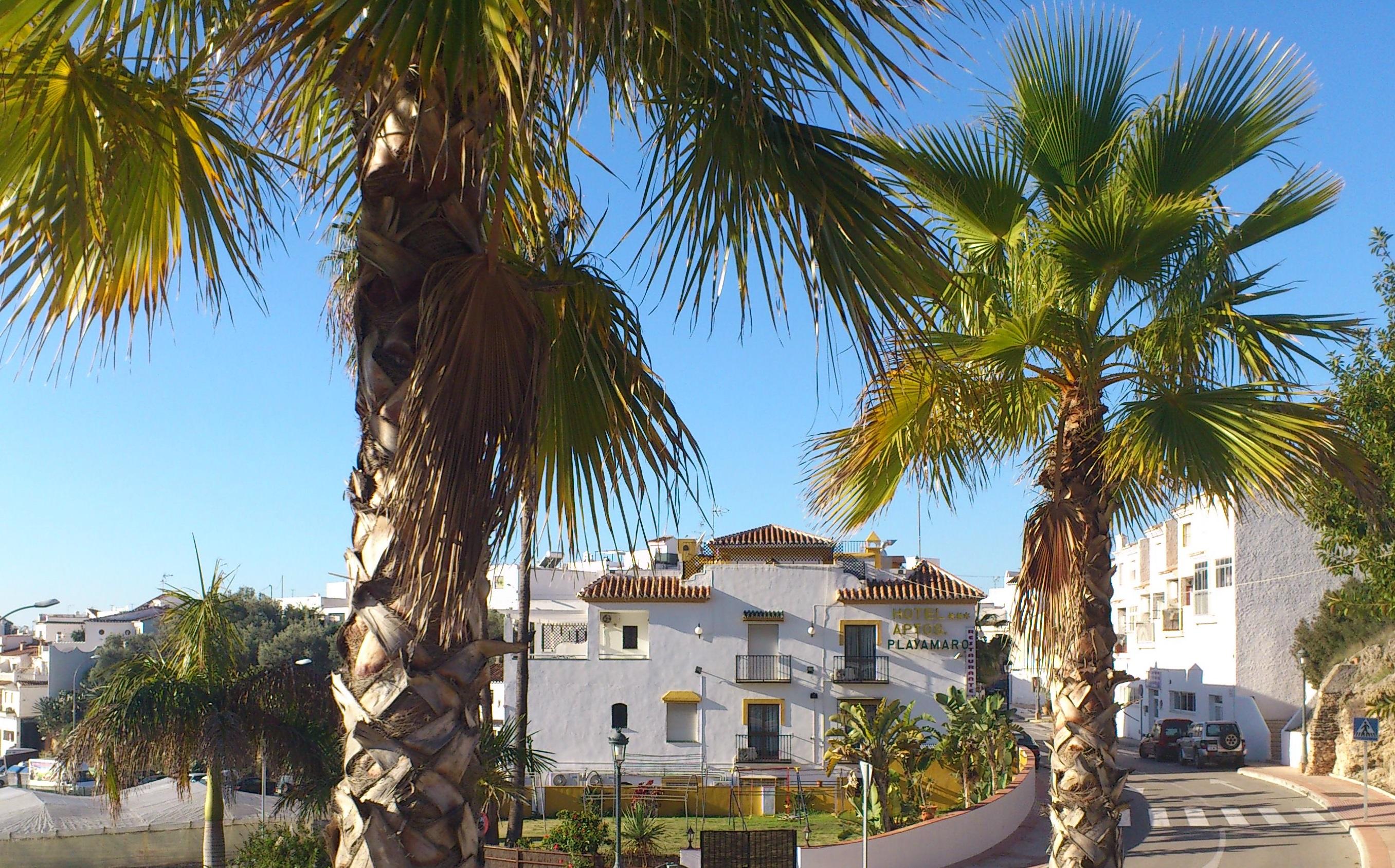 Hotel Playamaro Maro