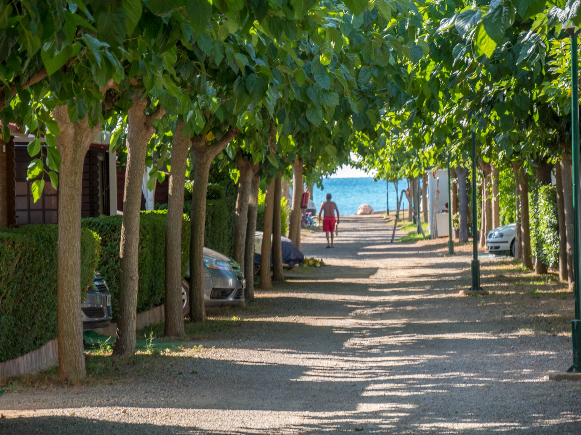 Playa Y Fiesta Campsite