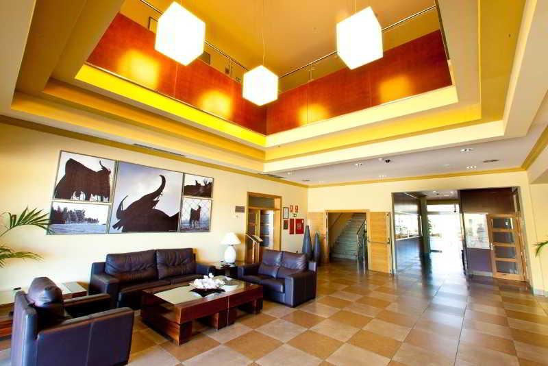Montera Plaza Los Barrios