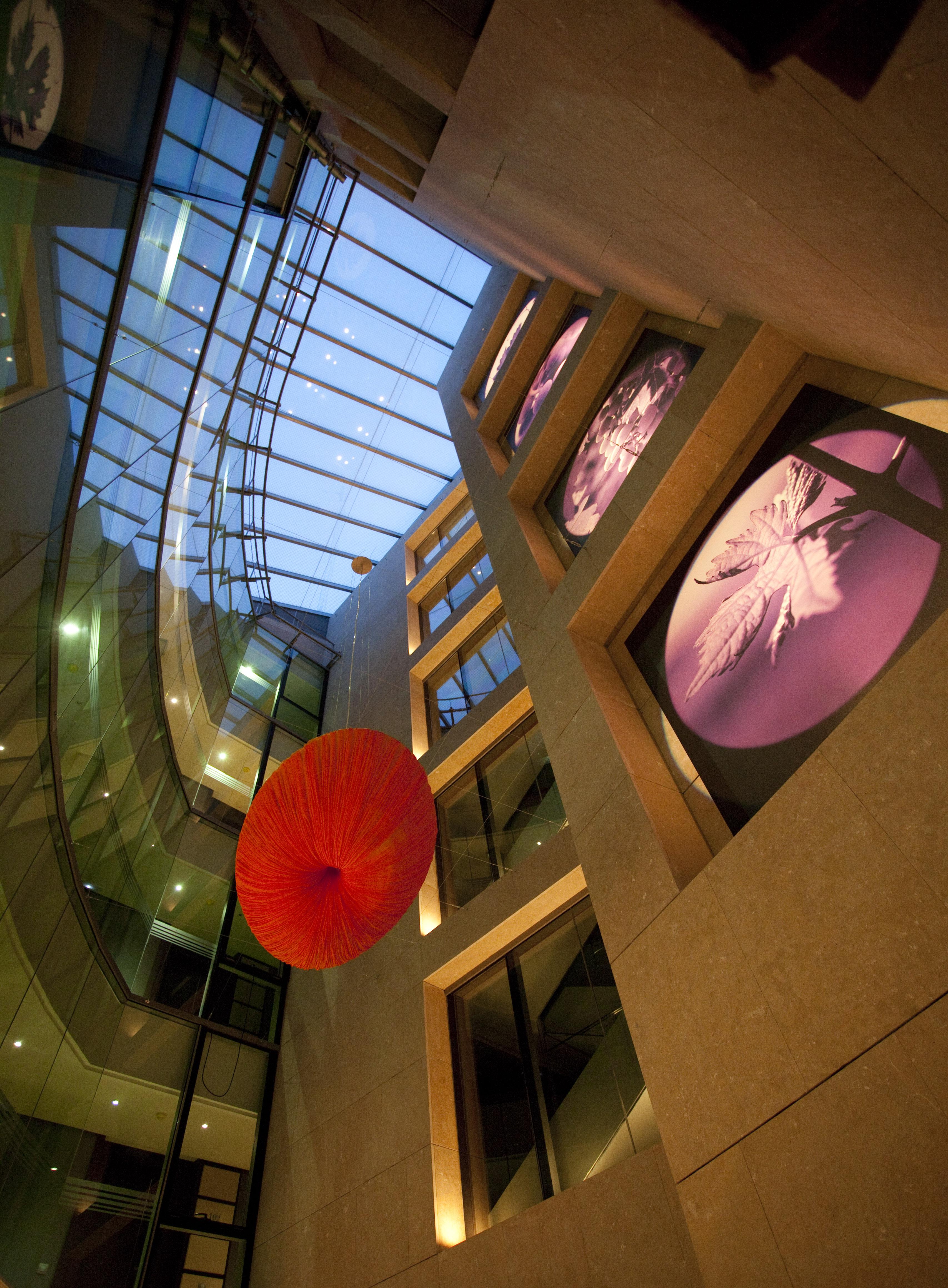 Nexus Suites&hotel Hotel Valladolid