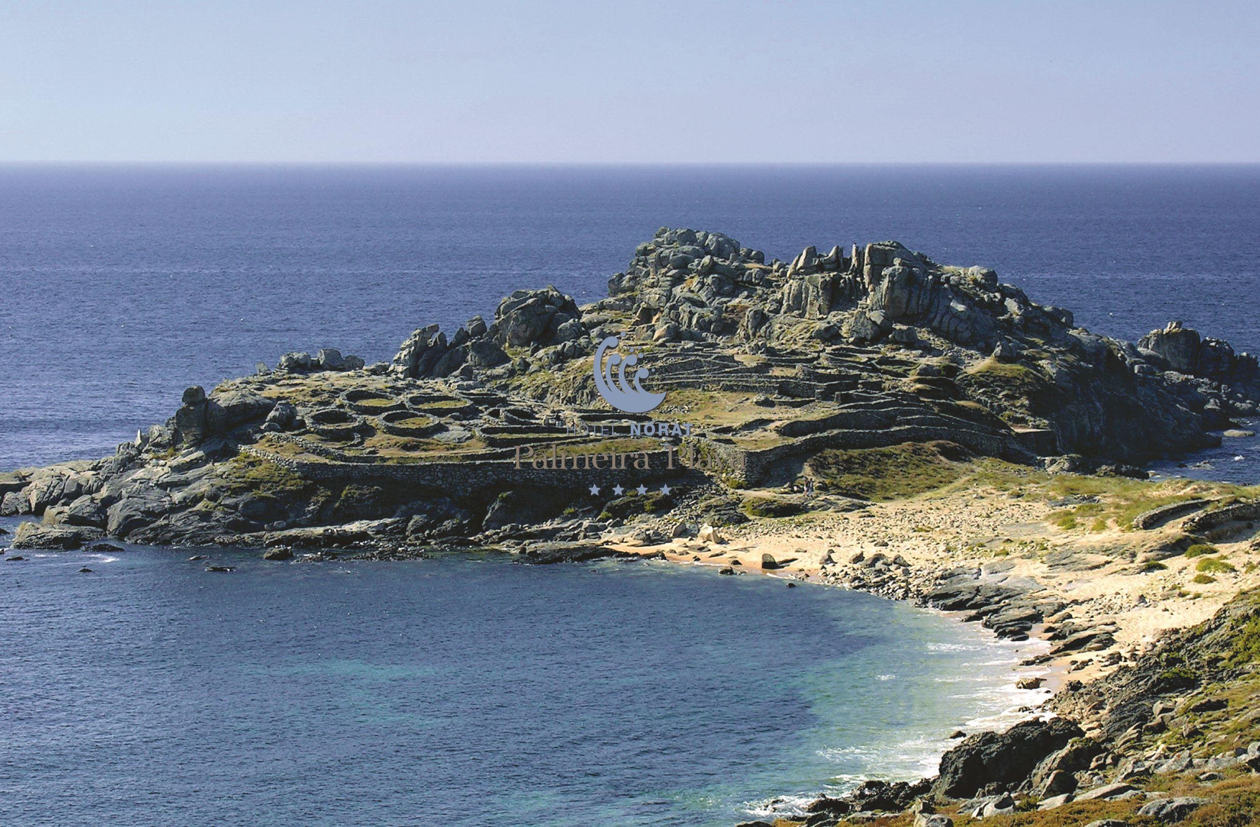 Norat Palmeira Playa