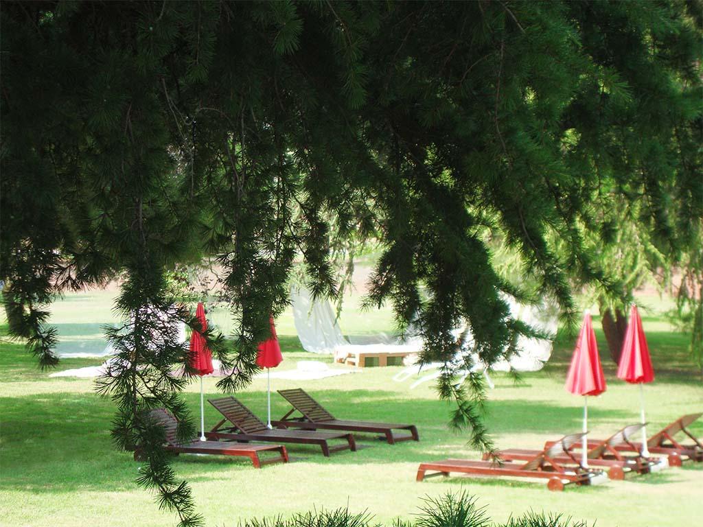 Hotel San Camilo Navarrete
