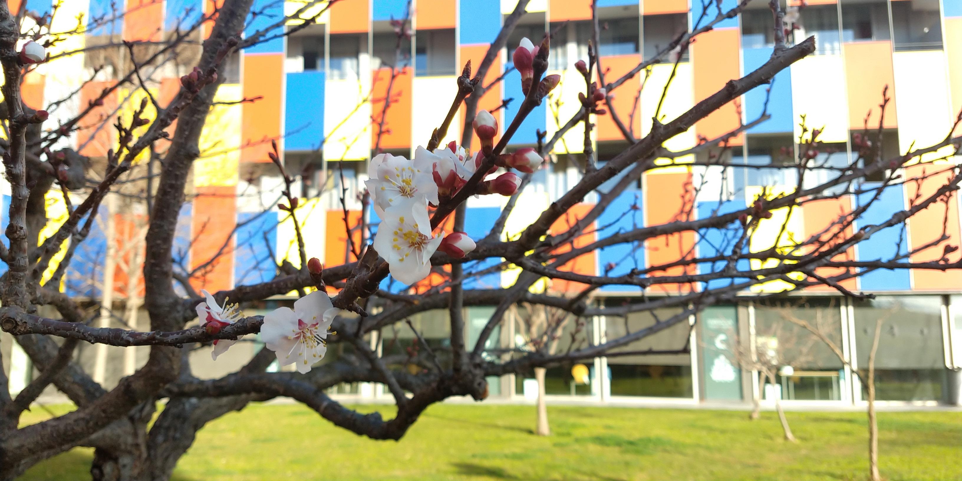 Centre Esplai *