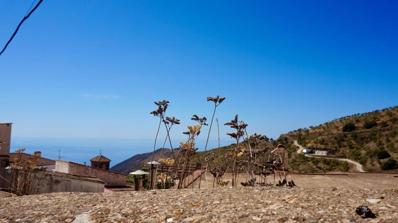 Casa Amigos - La Almendra