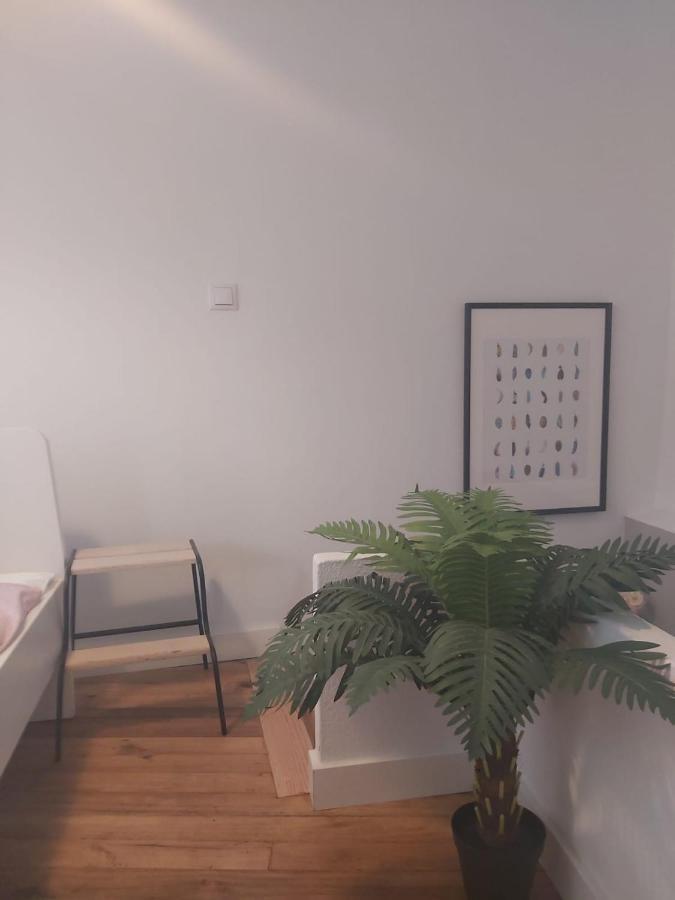 Apartment Casa