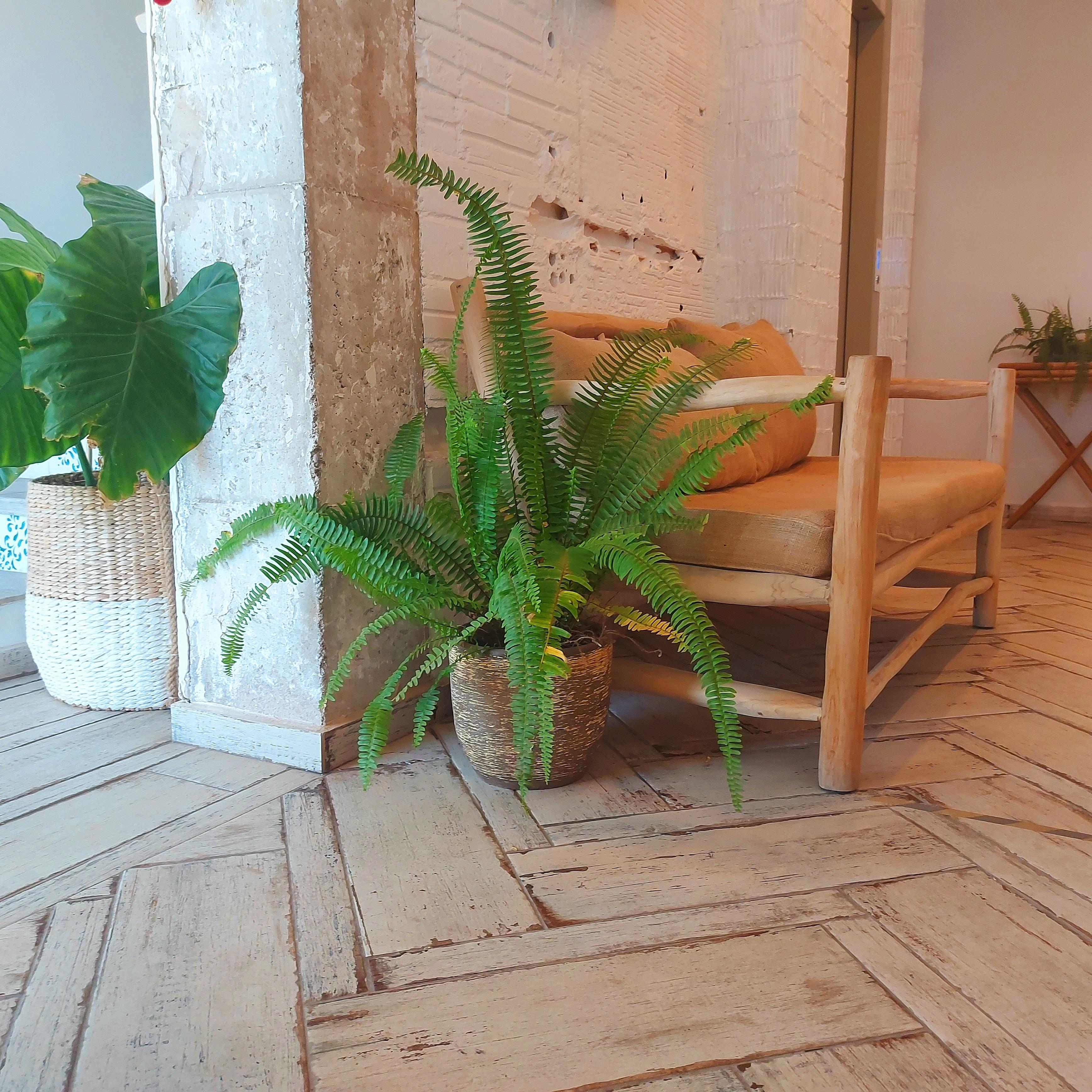 Hotel Duna Boutique Peñíscola