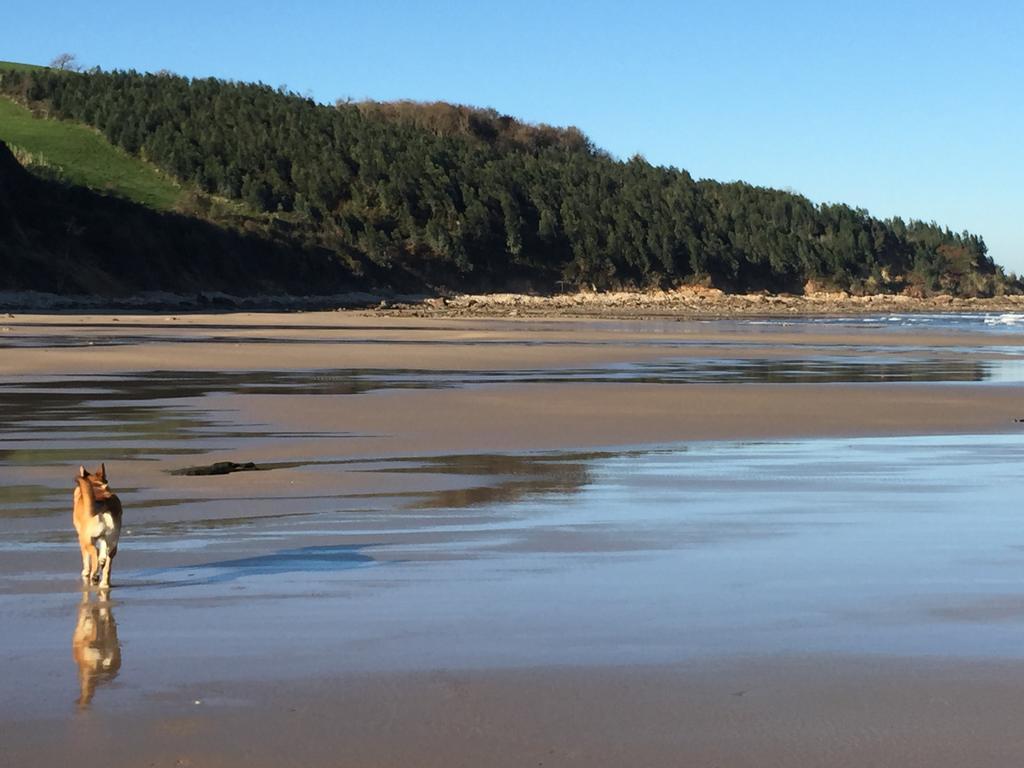 Playa De Oyambre