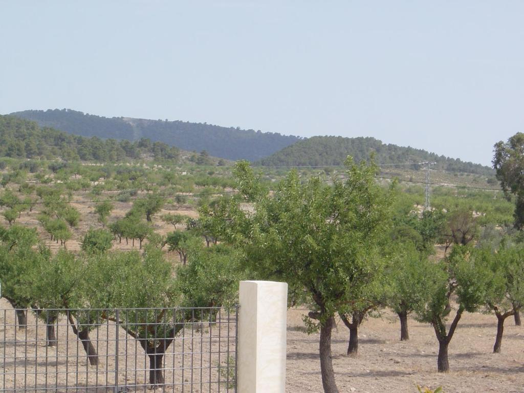Casas De Ainas * Ricote