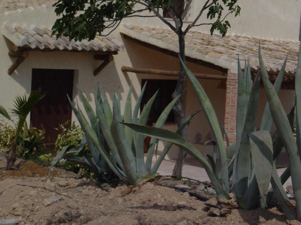 Сasa de vacaciones Casas De Ainas