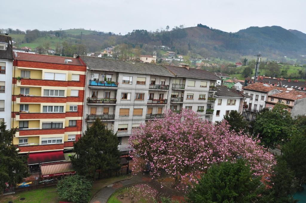Guest house Reconquista