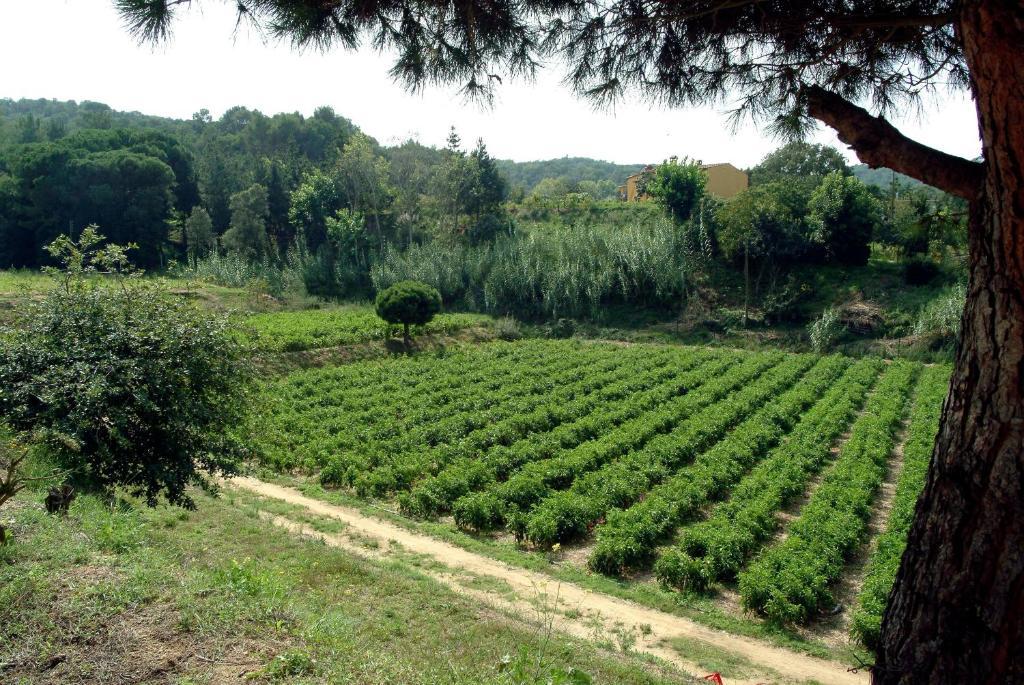 Country house Allotjaments Rurals Vallplana Malgrat de Mar